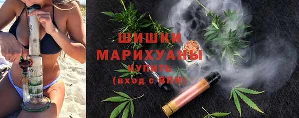 стафф Каменногорск
