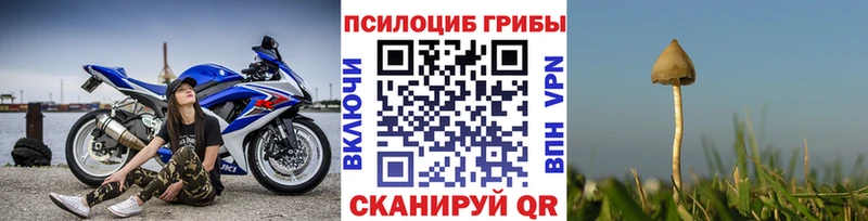 Галлюциногенные грибы GOLDEN TEACHER  Купить  Болохово 
