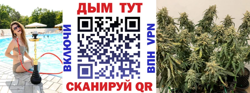 Каннабис конопля  Купить  Болохово 